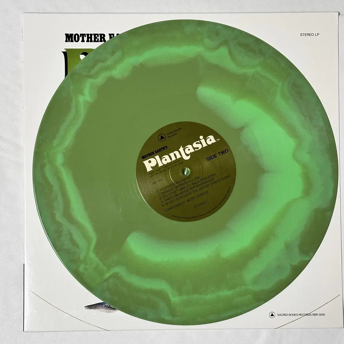 모트가슨 plantasia lp 희귀색상