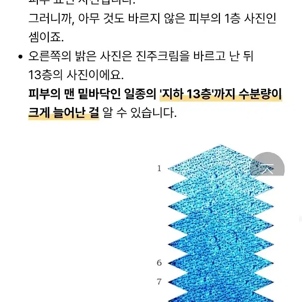 메디비티 진주크림