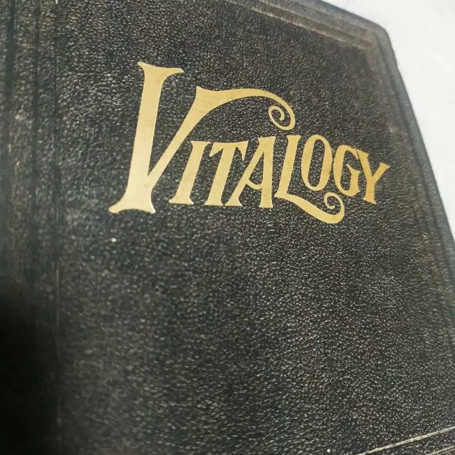 Pearl Jam - Vitalogy CD