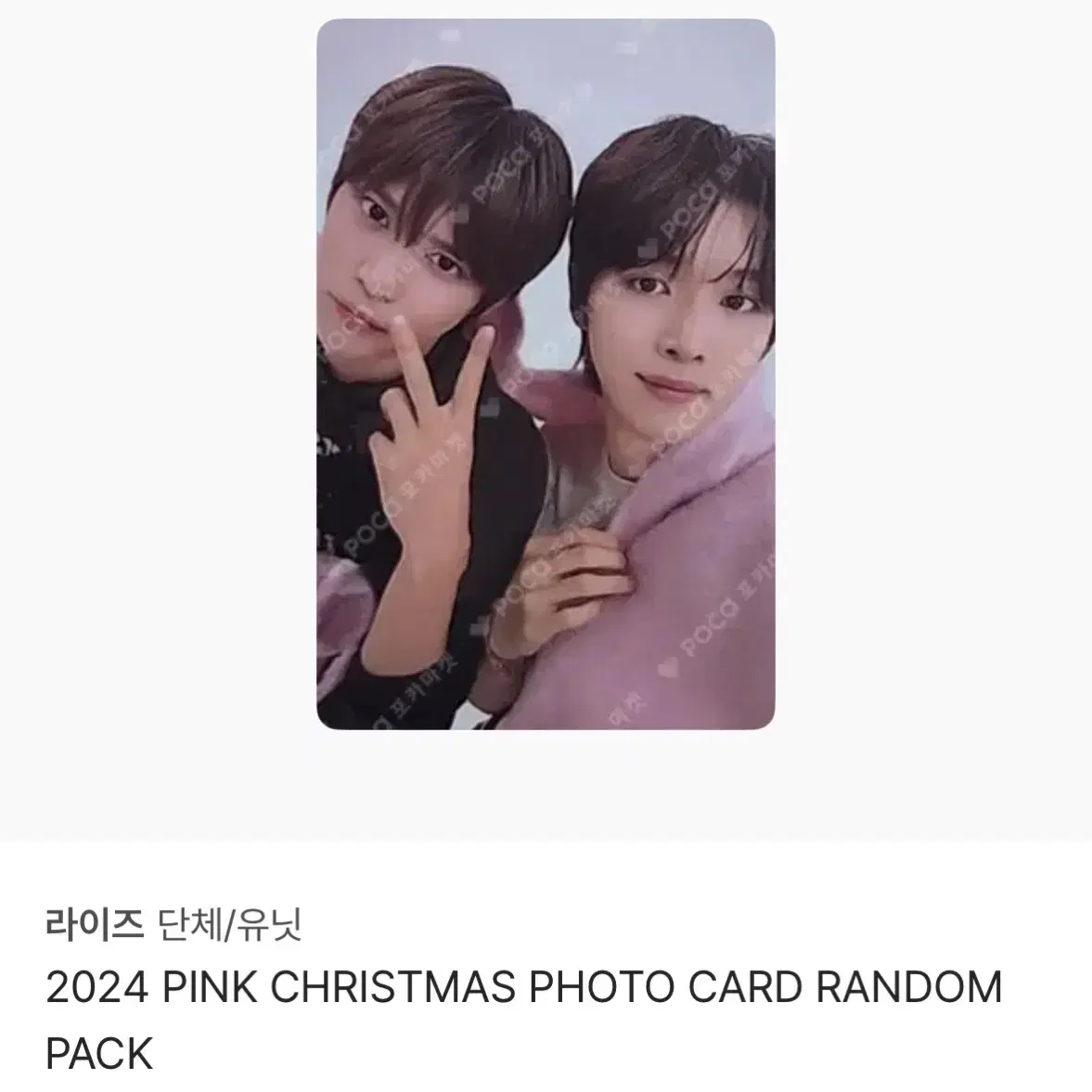 라이즈 pink christmas 은석성찬