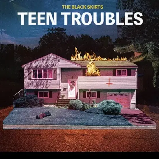 검정치마 teen troubles lp 새상품