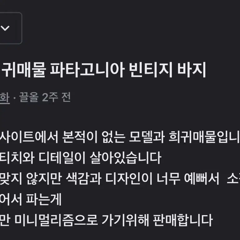 희귀 파타고니아 빈티지바지 36 ( 아웃도어 웨어)