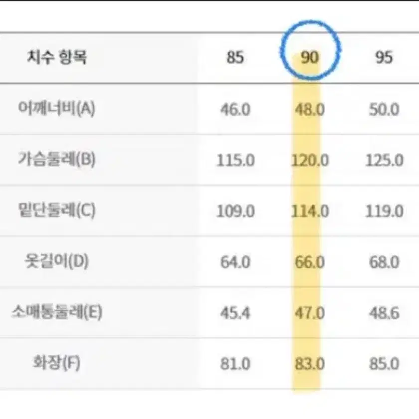 (1/9 오늘만 이 가격) 디스커버리 패딩