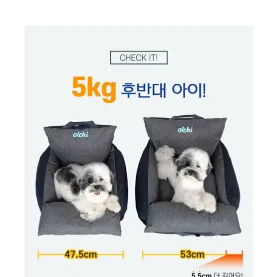 올치 캐리어 애견 카시트