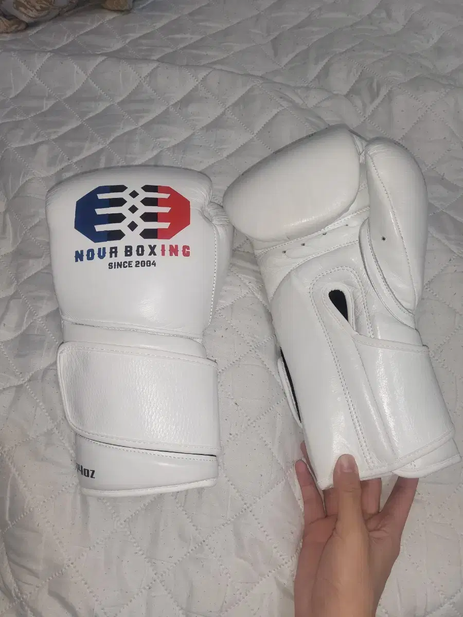 NOVA BOXING 14OZ Boxing Gloves, Boxing Shoes Machomai (White