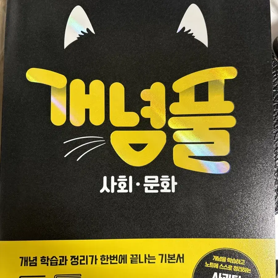 개념풀 사회문화