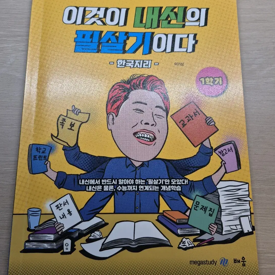 메가스터디 이기상 한국지리