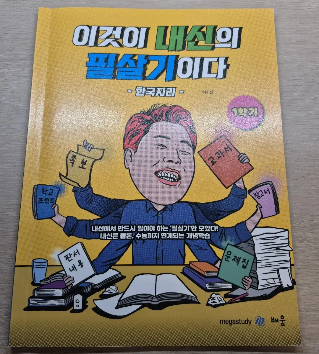 메가스터디 이기상 한국지리