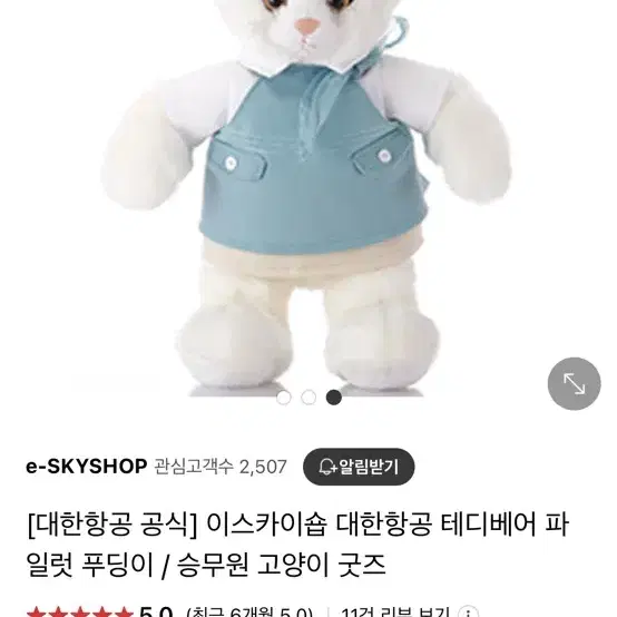 대한항공 테디베어 사랑이, 고양이 인형 삽니다