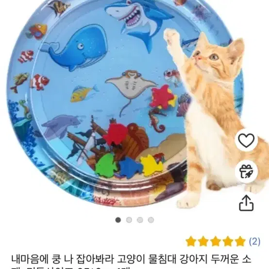 고양이물침대