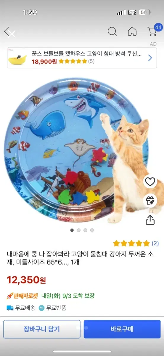 고양이물침대