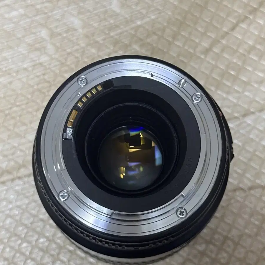 ef100mm f2.8 rf24-50mm 번들렌즈