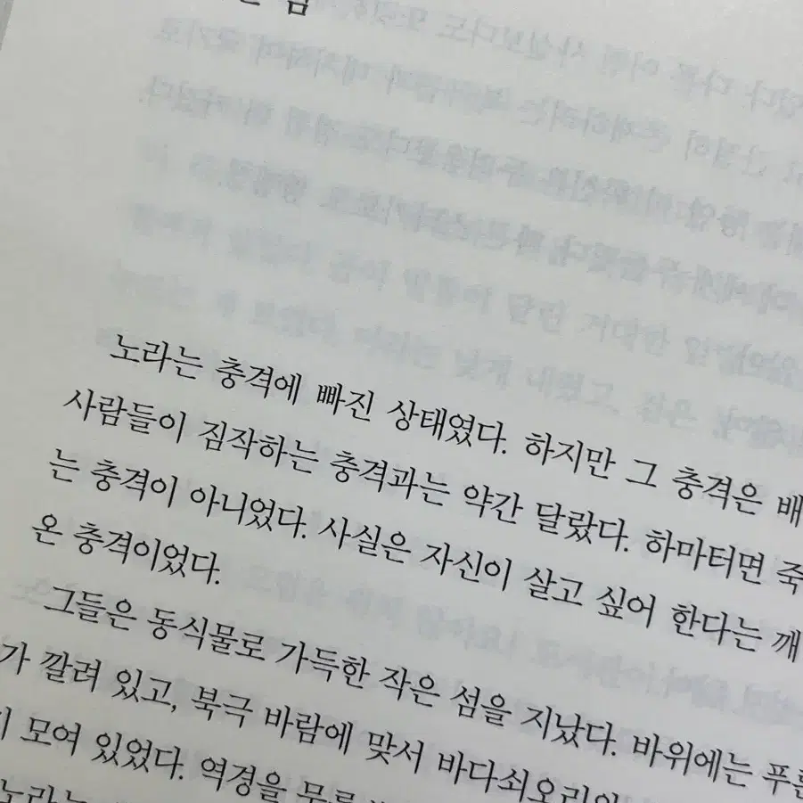 소설 밝은 밤 미드나잇 라이브러리 장편소설 도서 한국소설 문학