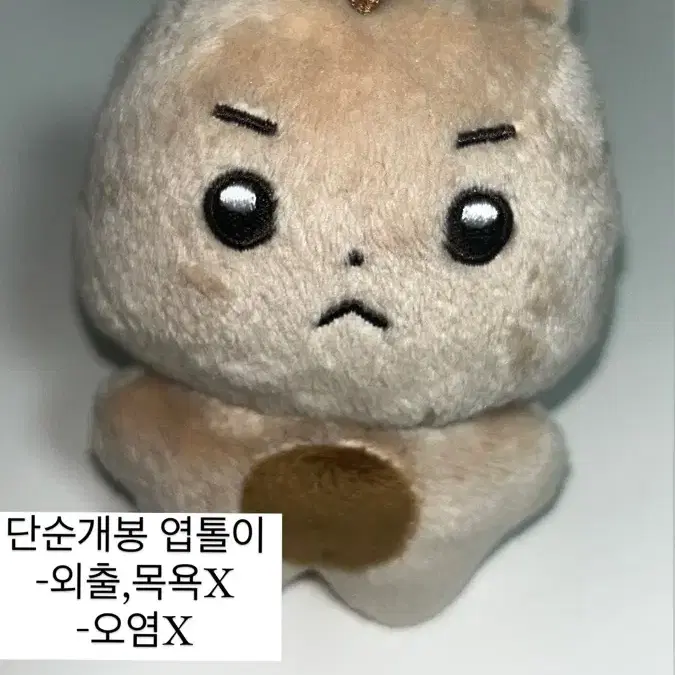 루시 포카 인형 앨범 판매