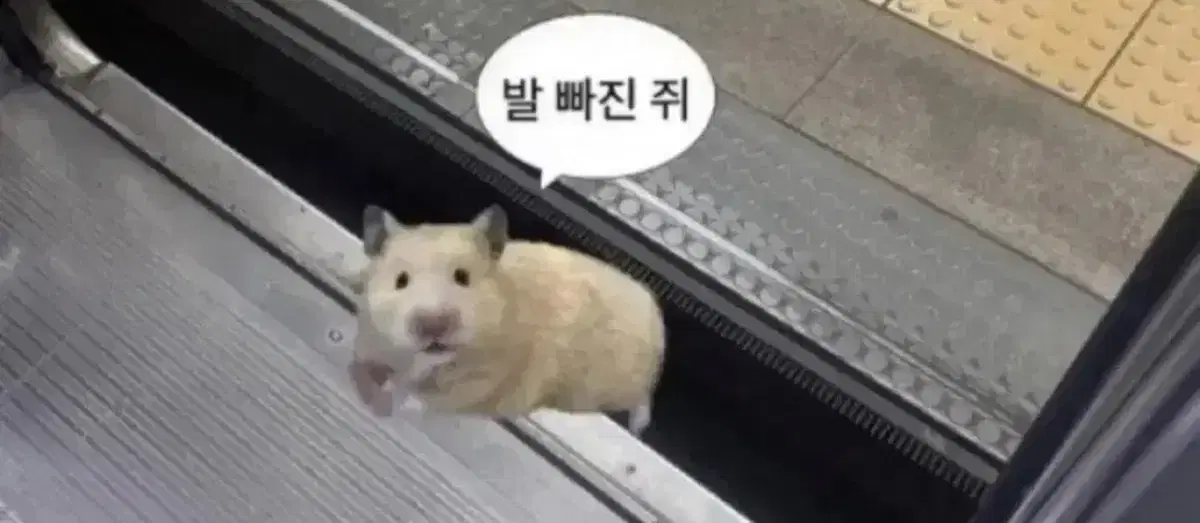 포스센스티브 메시브 카모 카고팬츠 2