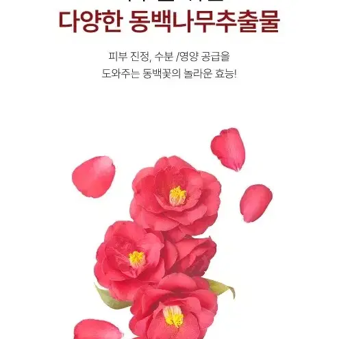 에이 가드크림 피부보습 부드러운 발림성 피부탄력 도움 수분충전 피부진정