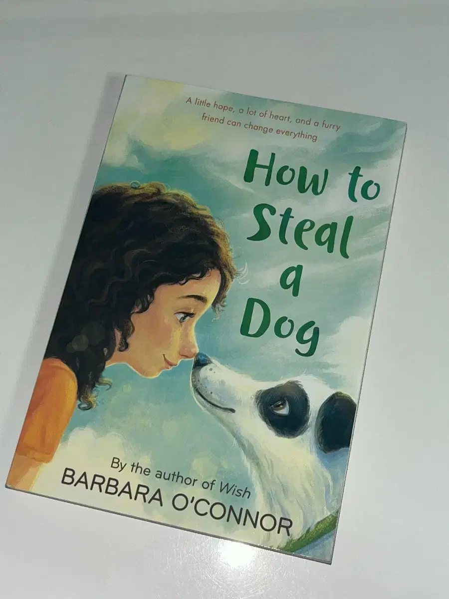 The Perfect Way to Steal a Dog Original