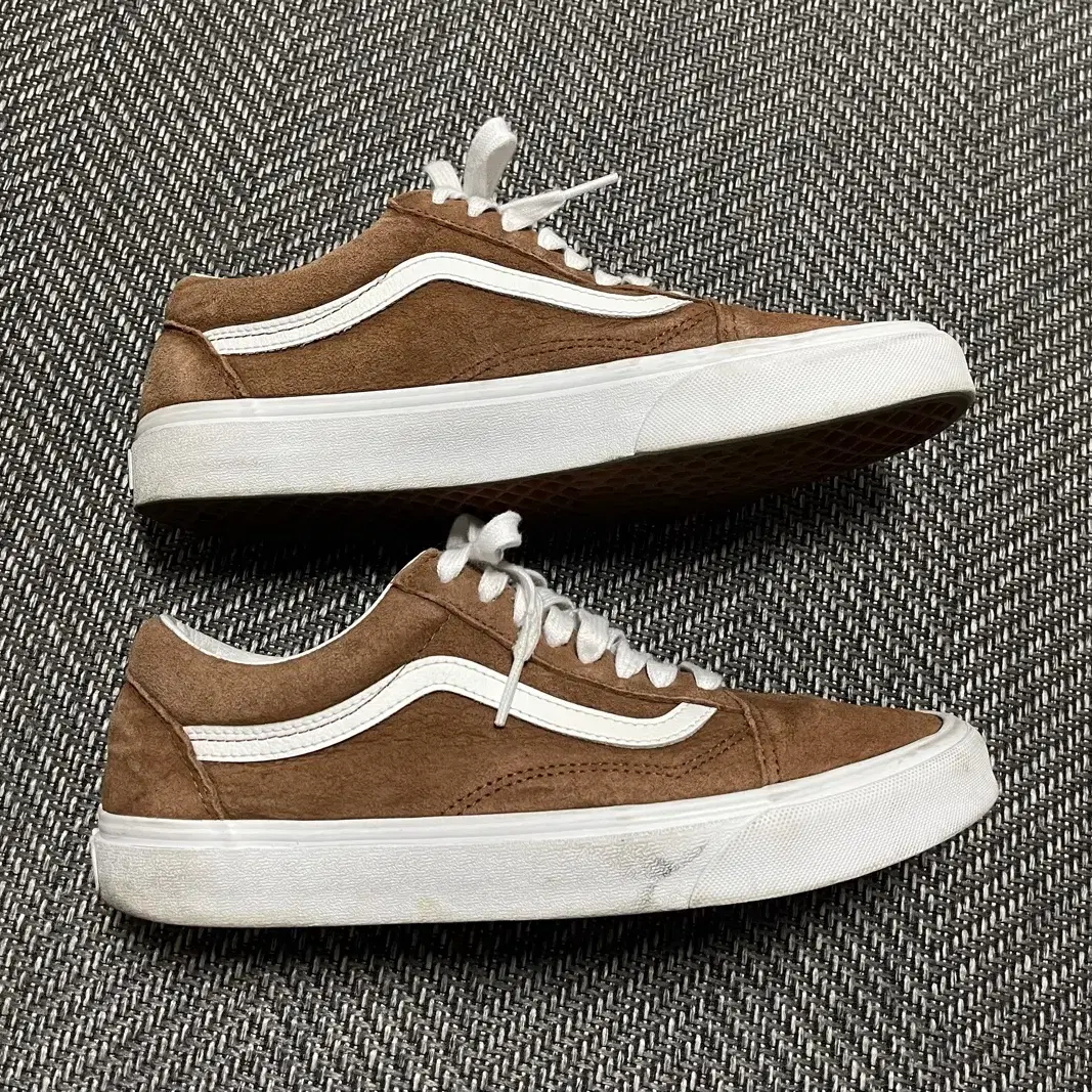 270mm] 반스(VANS)에코 드라이 스웨이드