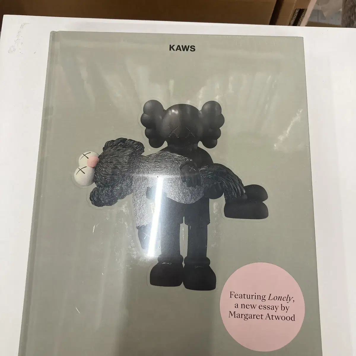 Kaws 한정판 전시 도록 카우스 2019 COMPANIONSHIP