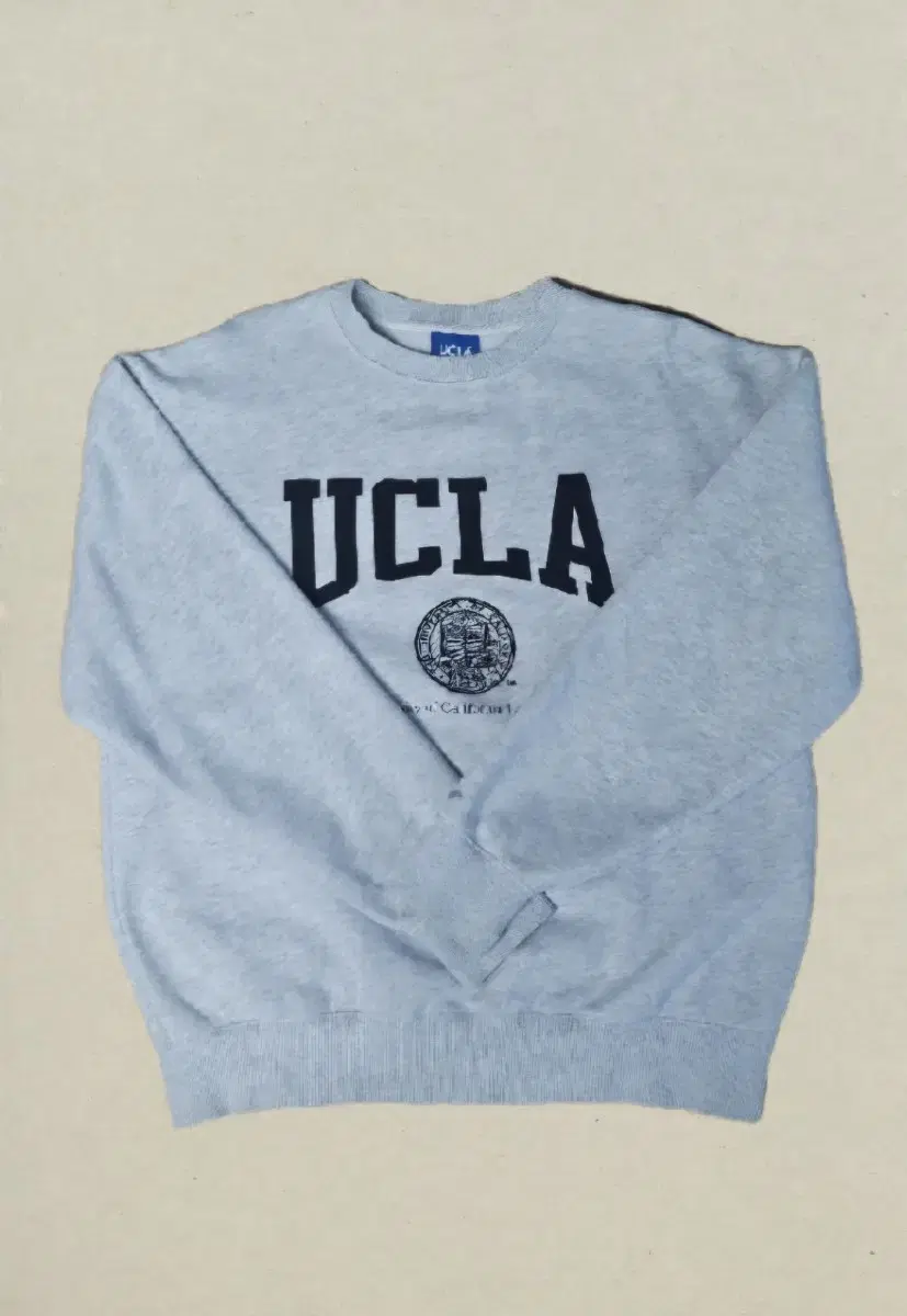 UCLA 맨투맨xl