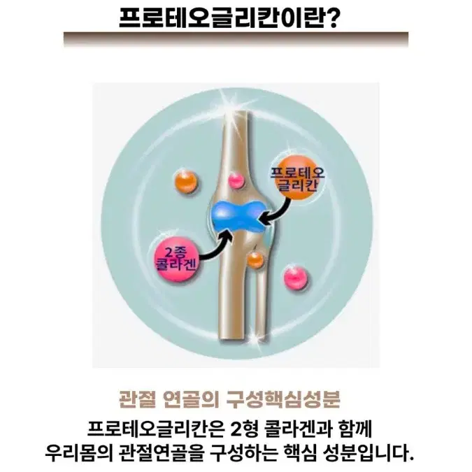 연골 관절 영양제