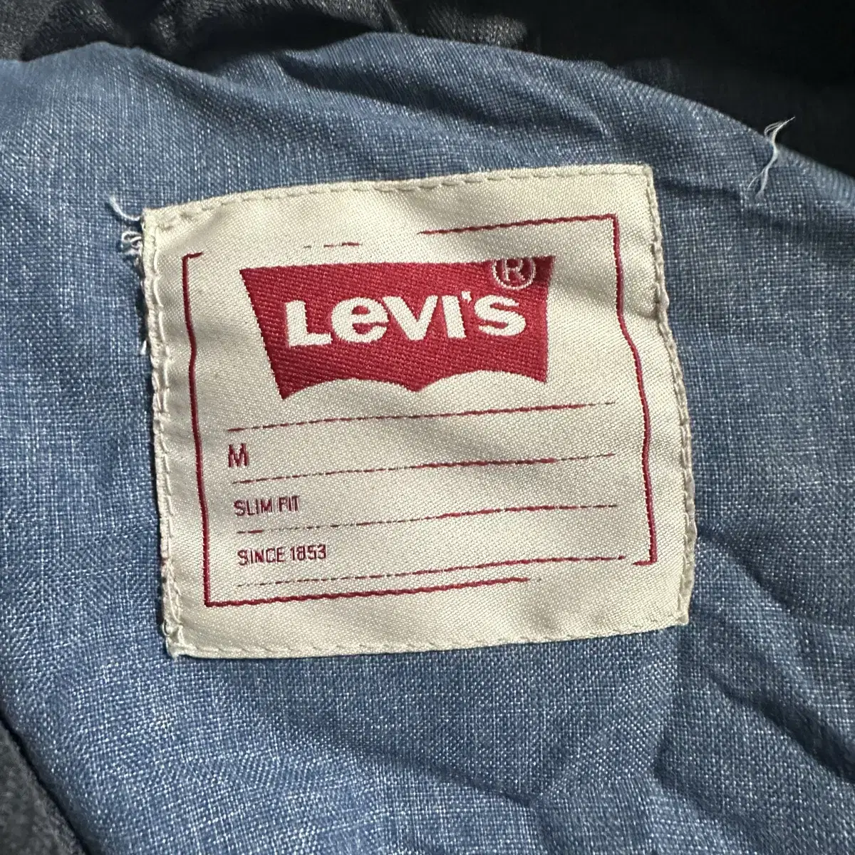 Levis duck down 패딩