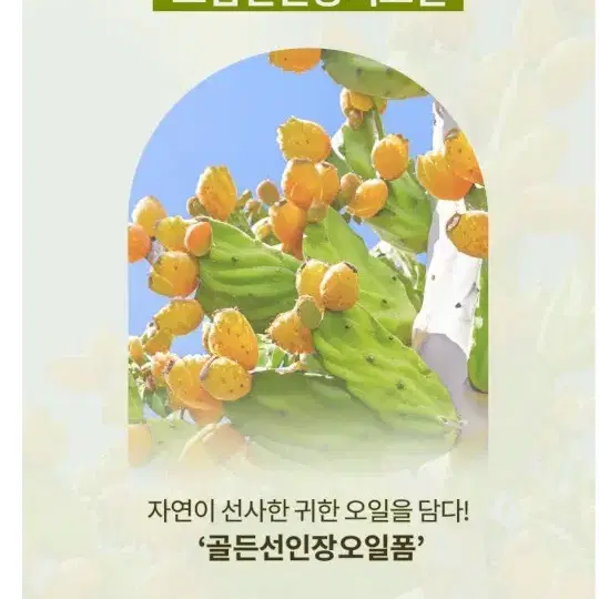 [맥스클리닉] 골든선인장 오일 폼 클렌저 110g 두병