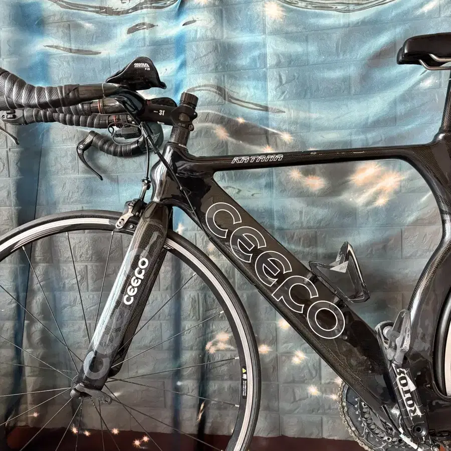 CEEPO KATANA 풀카본 TT차 판매