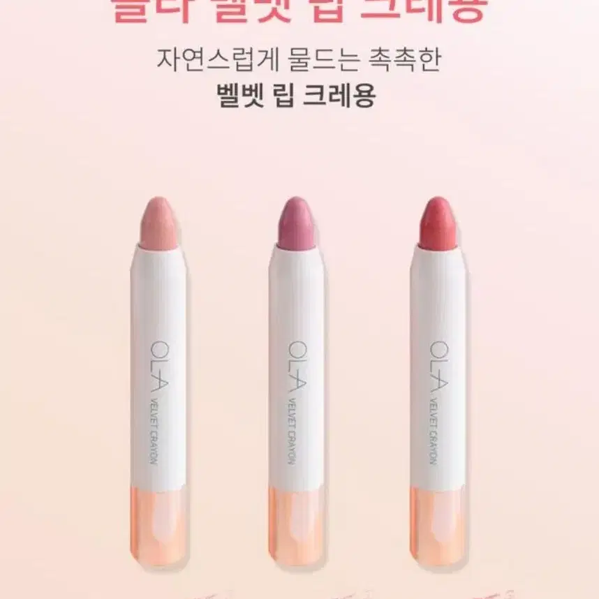 OLA 올라 벨벳 크레용 (3color)곰부인네,밤비올라