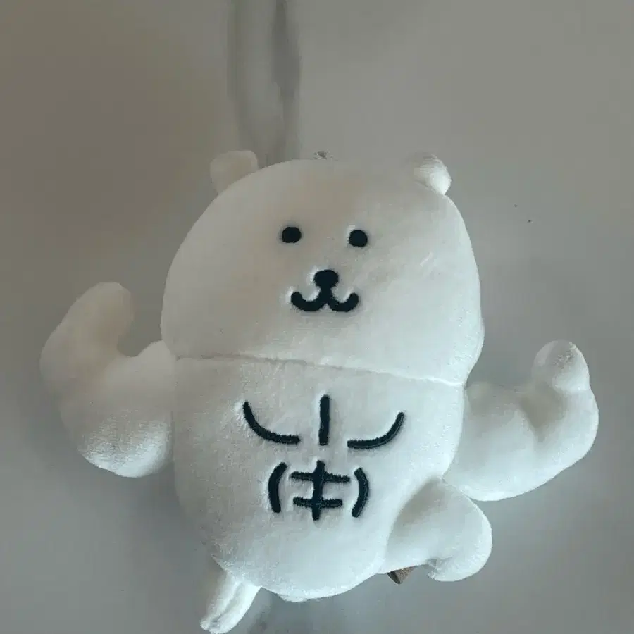 근육곰 농담곰 인형 마스코트 나가노마켓