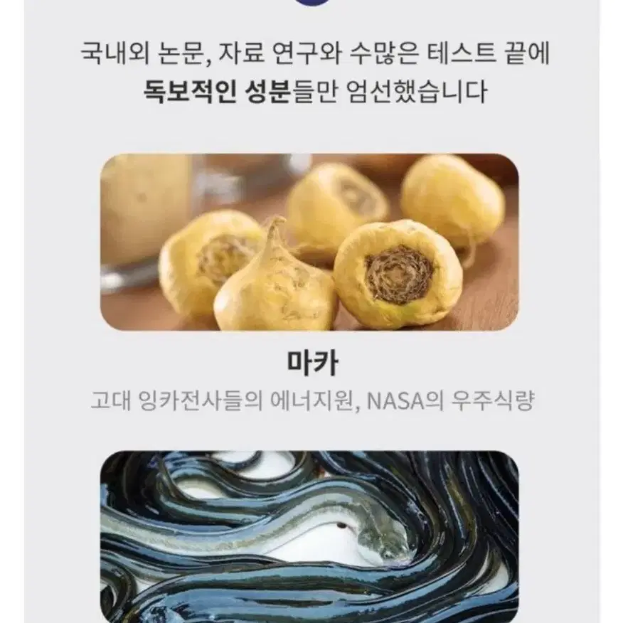 남성활력