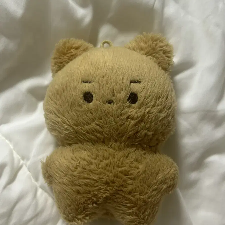 더보이즈 현재 인형 달곰이 달곰