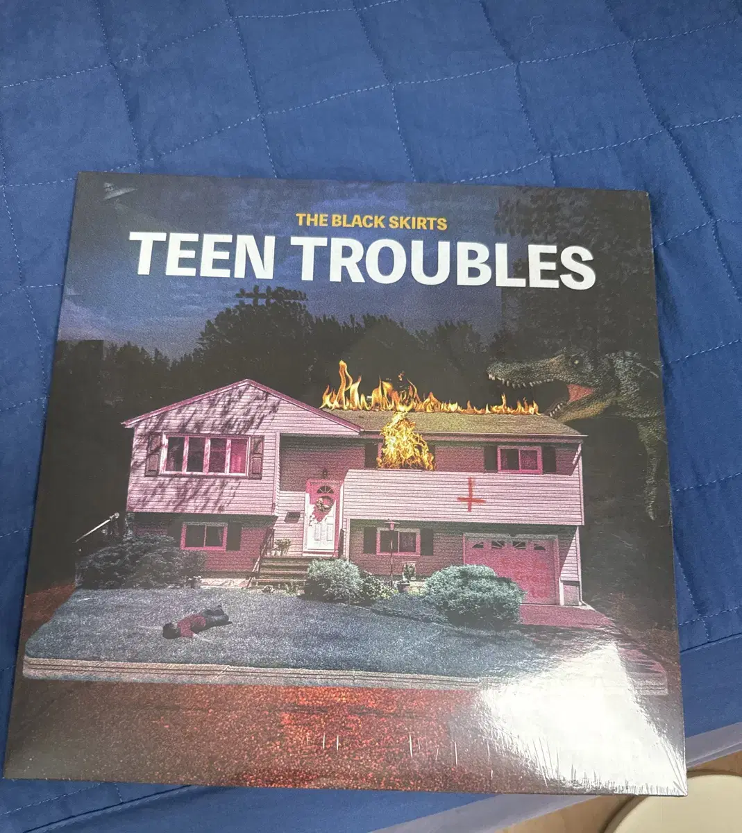 검정치마 teen troubles lp 새상품