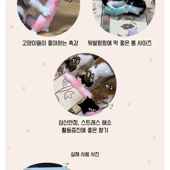 고양이 자동 장난감 9종일괄(나비자동장난감,쥐,2단낚시대,케이프,마따따비