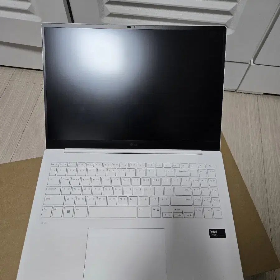 lg그램 16z90sp GA50K 256GB