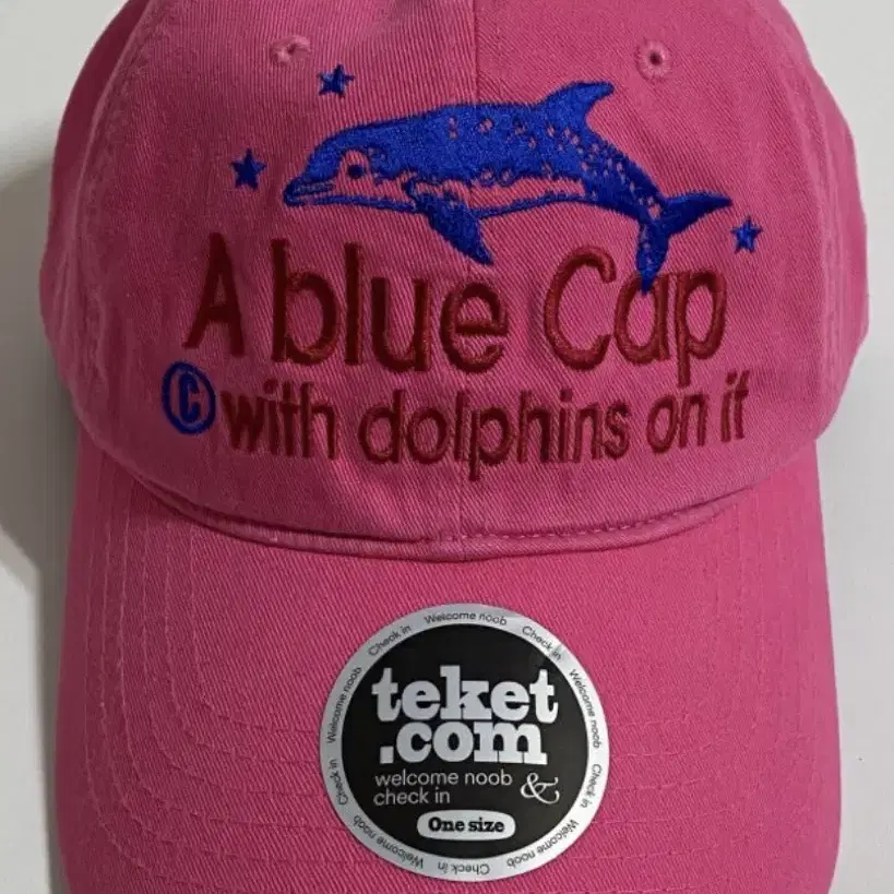 테켓 볼캡 a blue cap pink