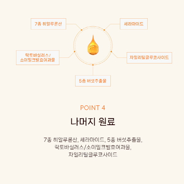 [명절상품]특가  [코리아나] 셀코드 진저론 6종세트