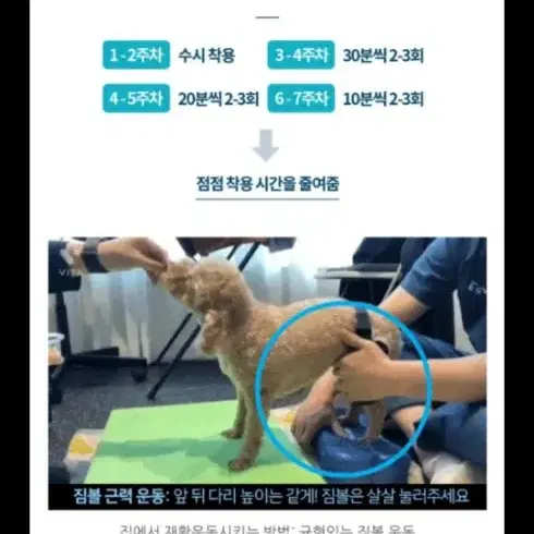 발토보조기 교정기 슬개골탈구 양발xxs