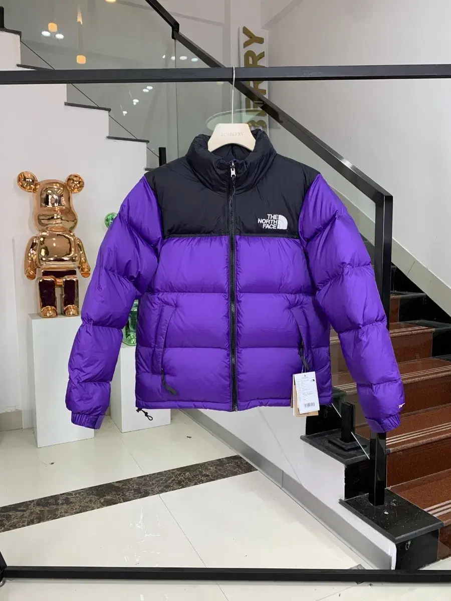 The North Face 1996 Eco Nupsie Goose Down Padding Purple Outdoor Windproof Winter