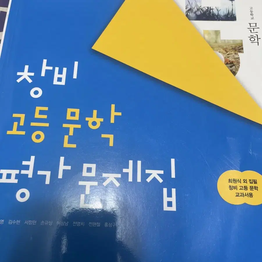 창비 문학 평가문제집