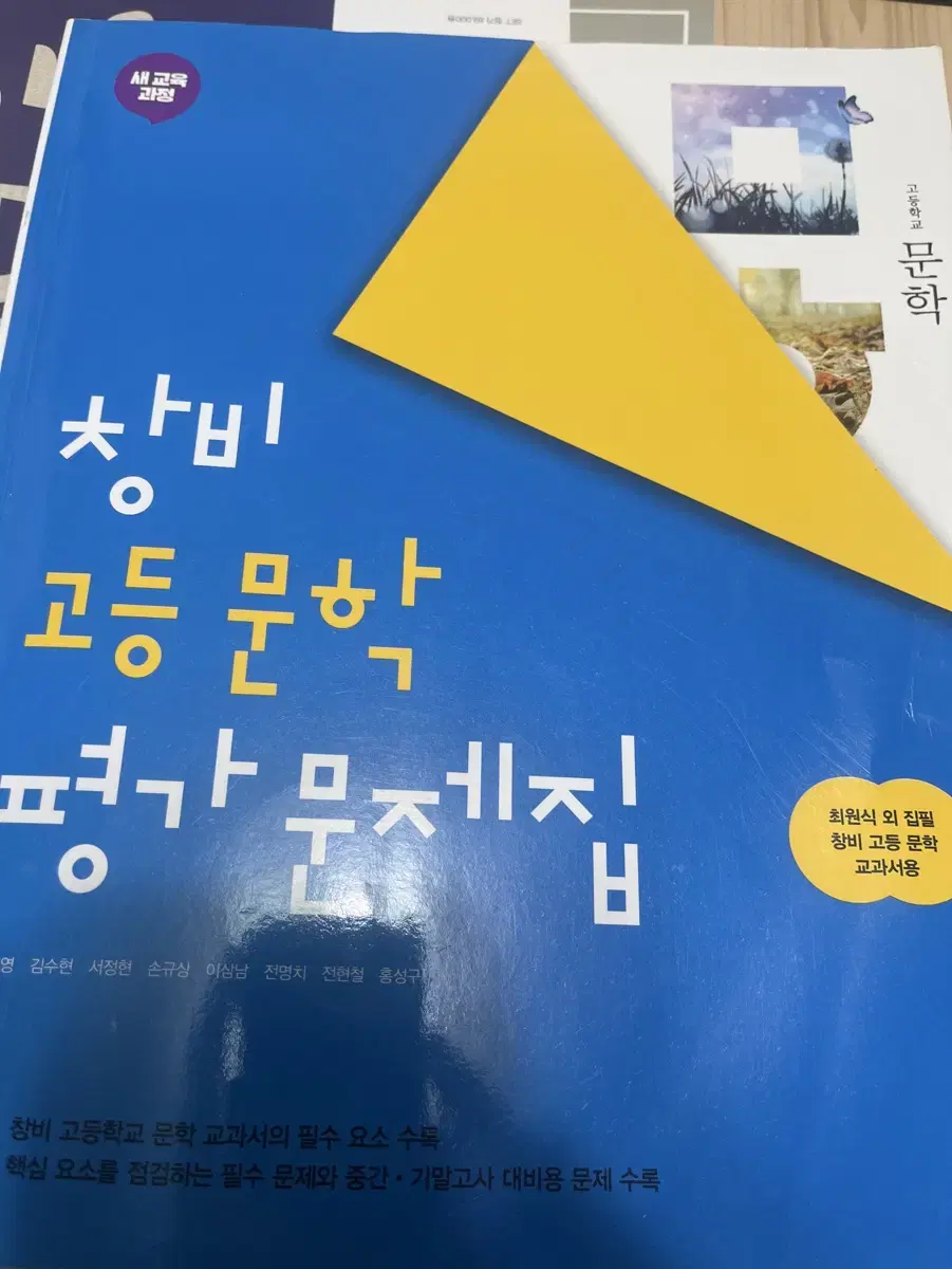 창비 문학 평가문제집