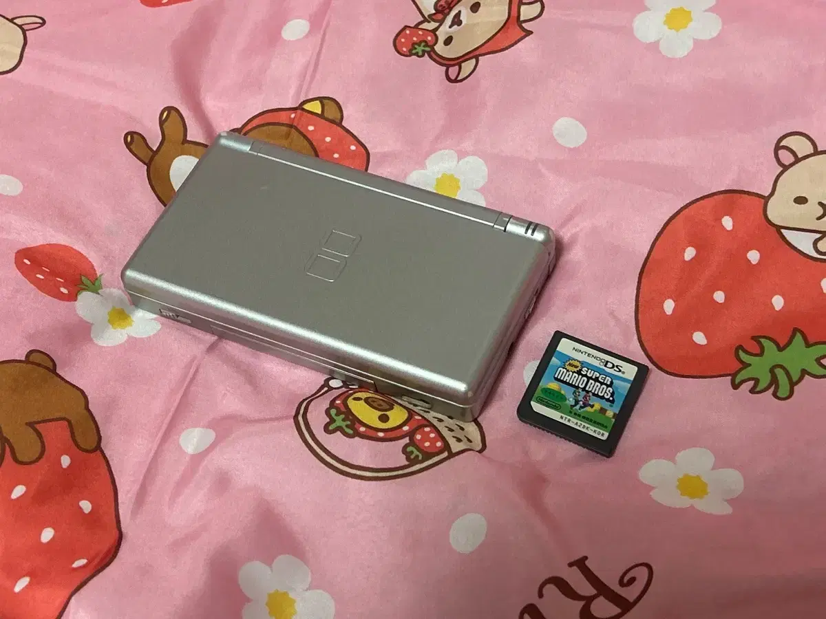 급처/일괄) 닌텐도 DS lite 실버, 마리오칩