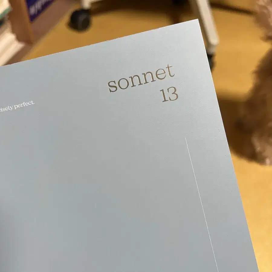 지민 비공 포토북 Sonnet 13