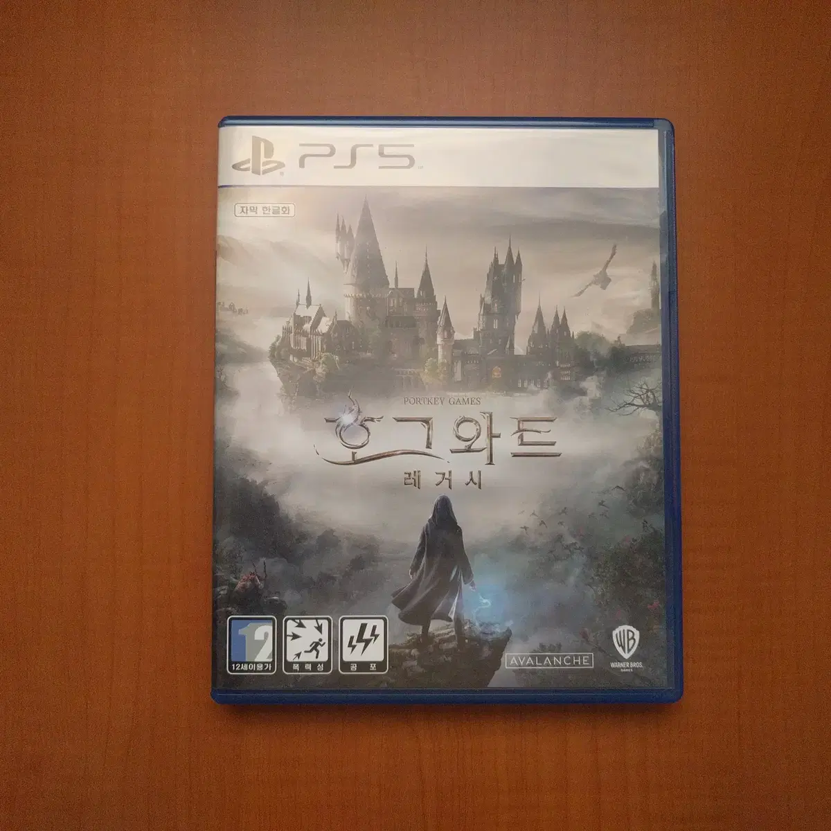 PS5 호그와트 레거시