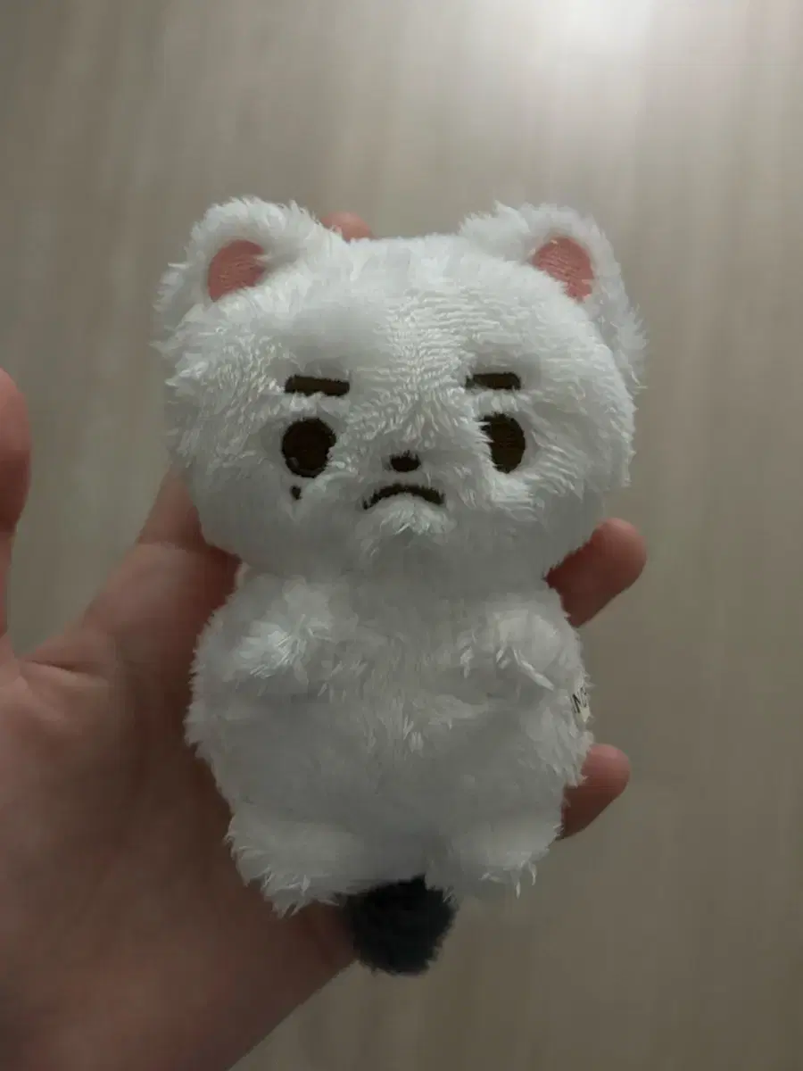 원가이하) 제베원 zb1 장하오 짱비 10cm 인형