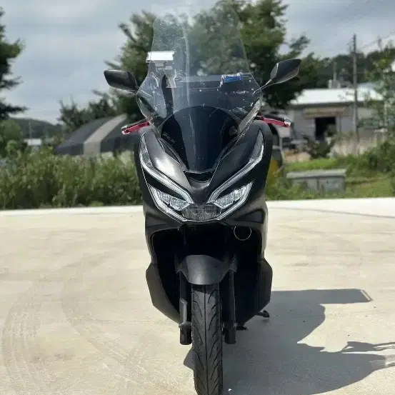 pcx19년식20년형