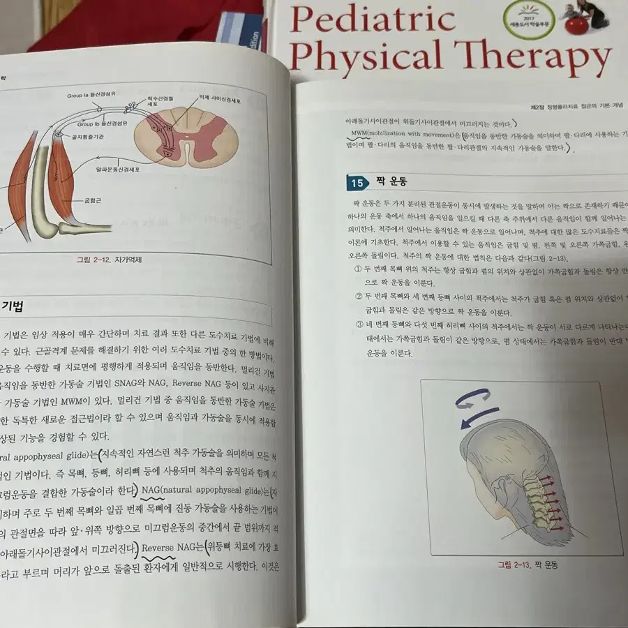 정형물리치료학