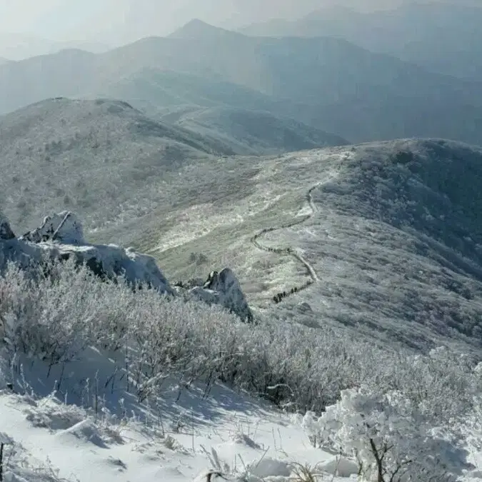 디스커버리 정품 패딩  여성용