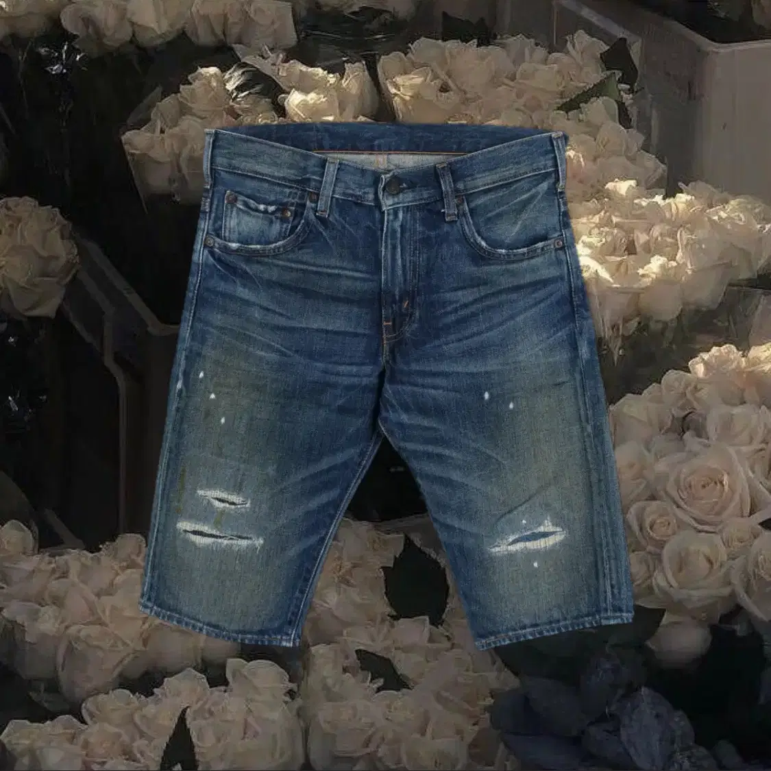 Levis 505 하프팬츠