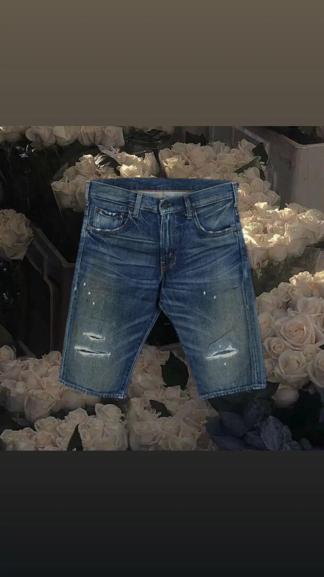 Levis 505 하프팬츠